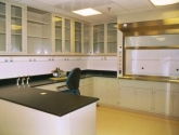 laboratory casework with chemical fume hood