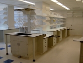 Healthcare Laboratory with Steel Sink and Casework