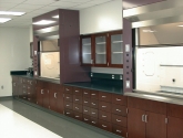 Laboratory Casework with Steel Hood